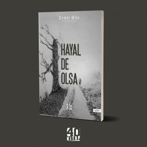 Hayal de olsa (e-Kitap)